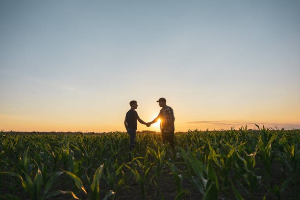 agricultura